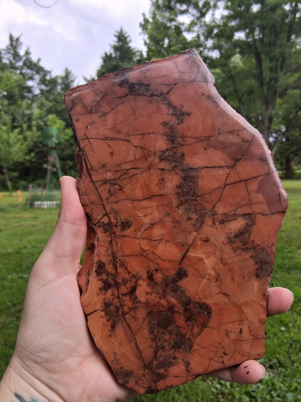 Kona Dolomite Polished Slab Display 8.5" Stone Rock Specimen Michigan - Picture 7 of 10